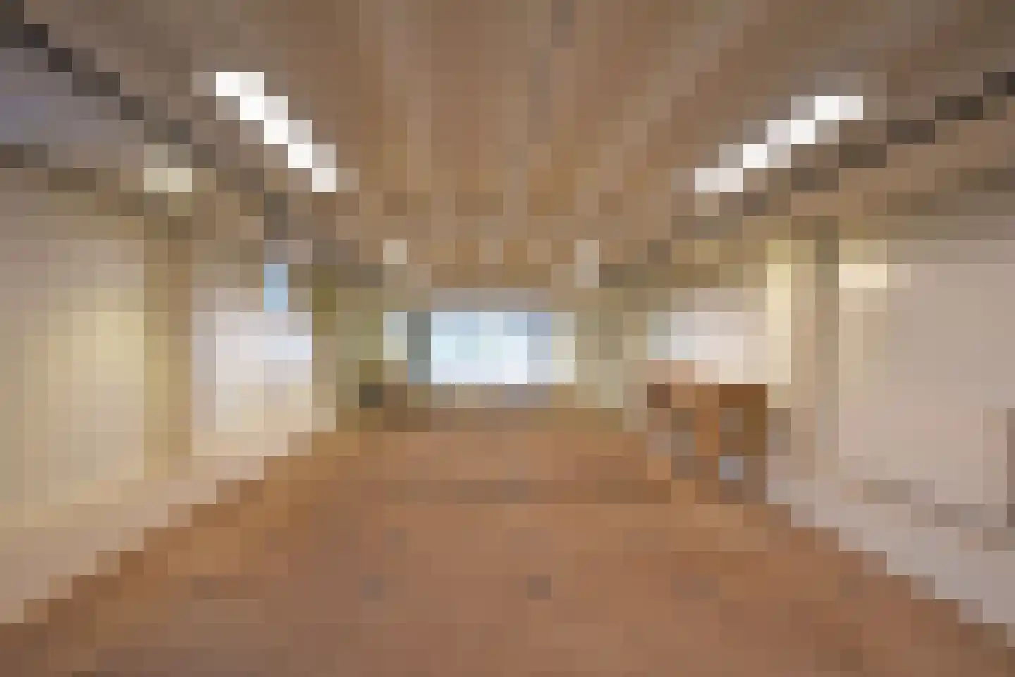 Lageweg 8 Burgum thumbnail 9