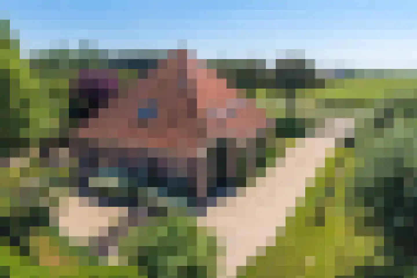 Lageweg 9 Blokker thumbnail 10