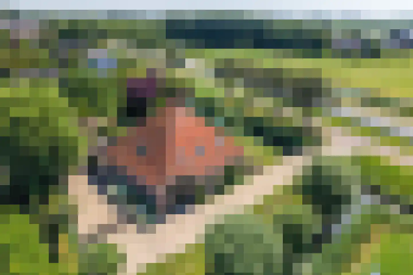 Lageweg 9 Blokker thumbnail 59