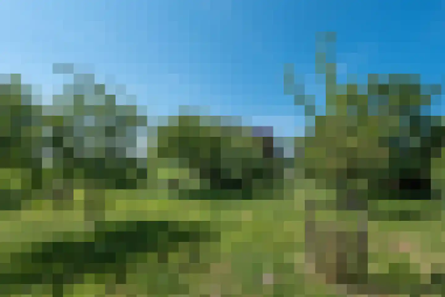 Lageweg 9 Blokker thumbnail 62