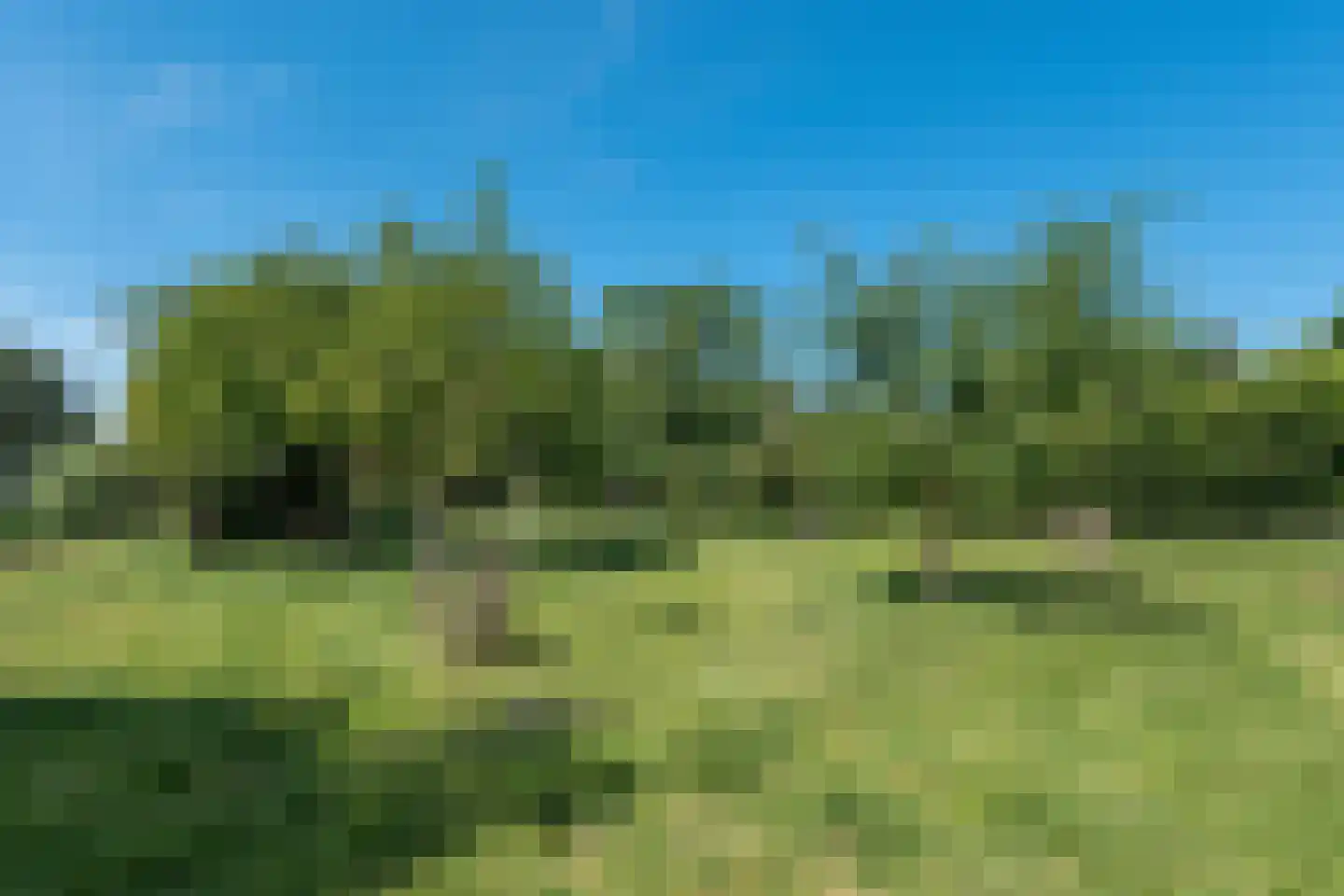 Lageweg 9 Blokker thumbnail 63