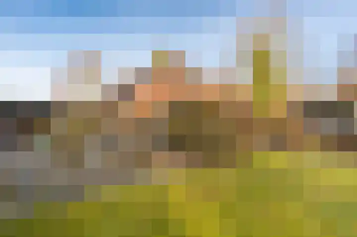 Lageweg 93 Wedde thumbnail 8