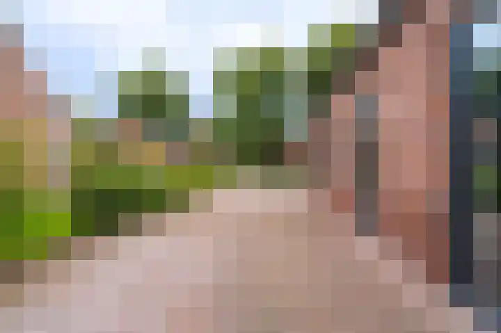 Lageweg 98 Wedde thumbnail 8