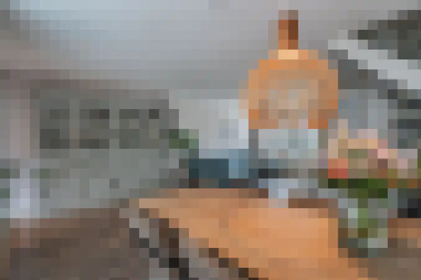 Lageweijdt 18 Schoorl thumbnail 12