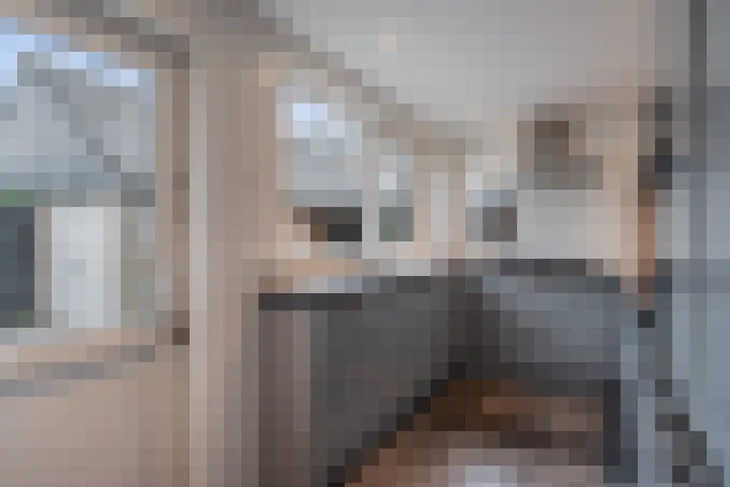 Lageweijdt 18 Schoorl thumbnail 13