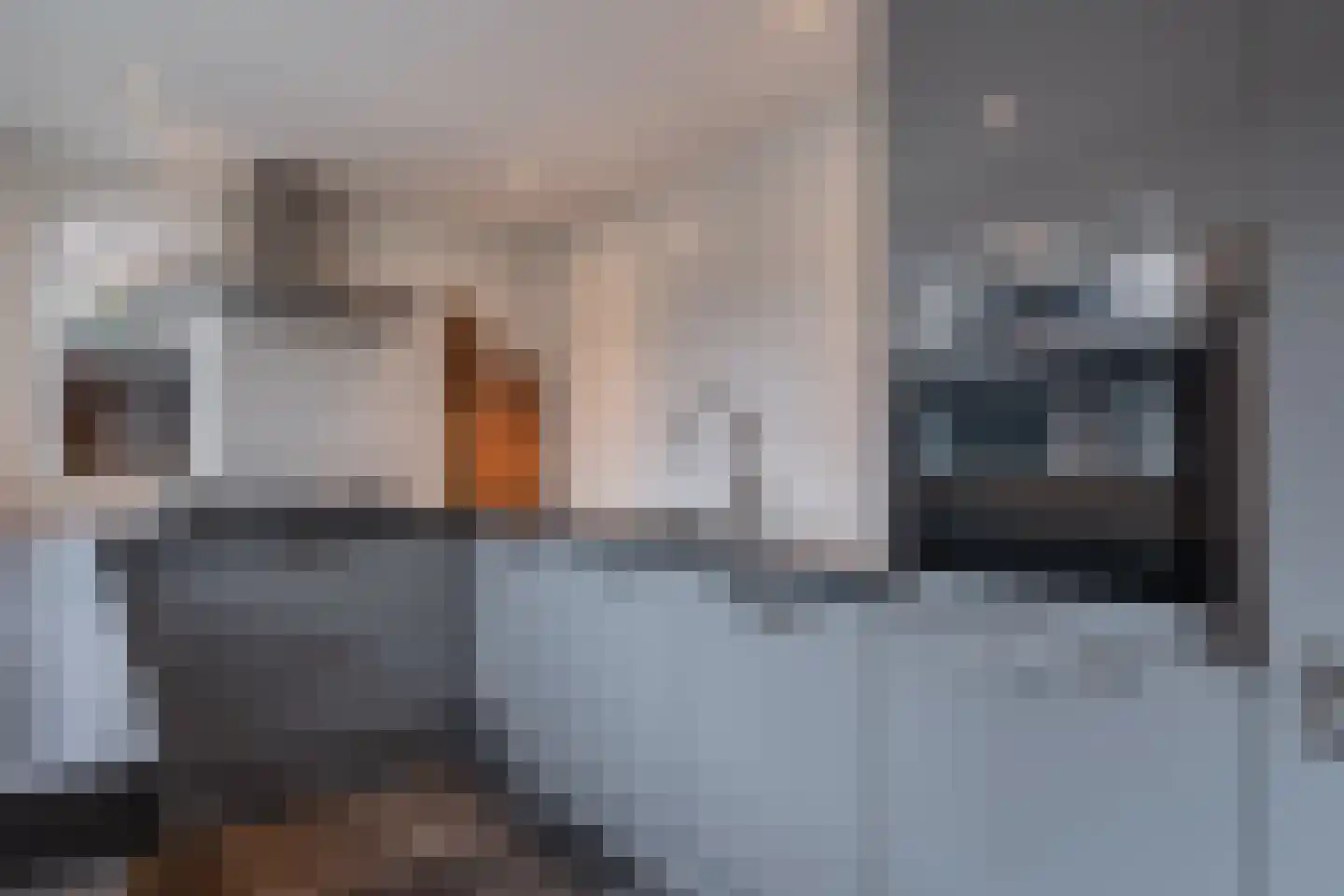 Lageweijdt 18 Schoorl thumbnail 14