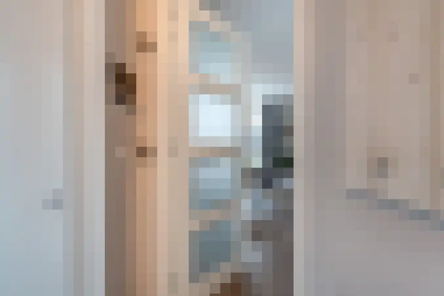 Lageweijdt 18 Schoorl thumbnail 16