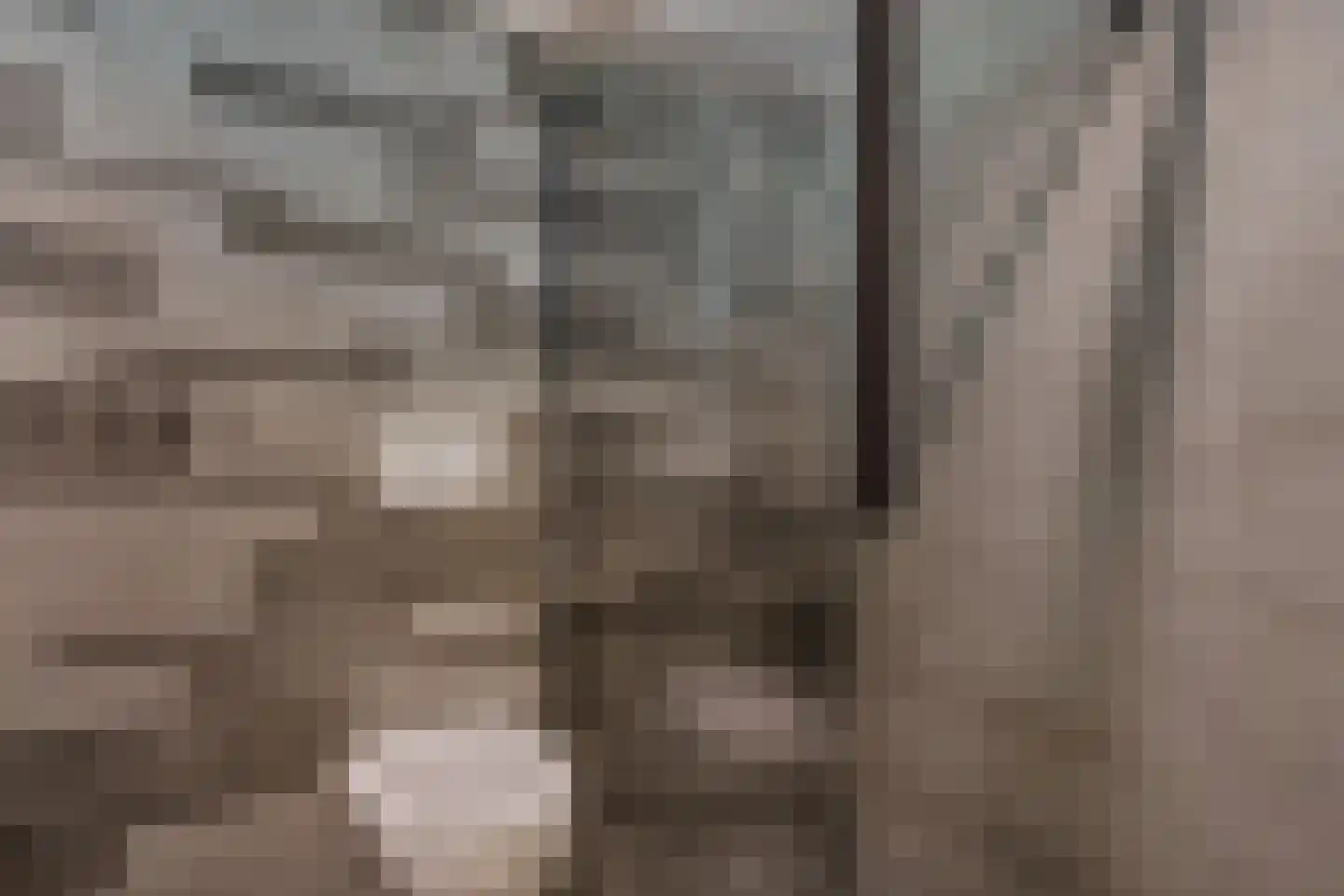 Lageweijdt 18 Schoorl thumbnail 25