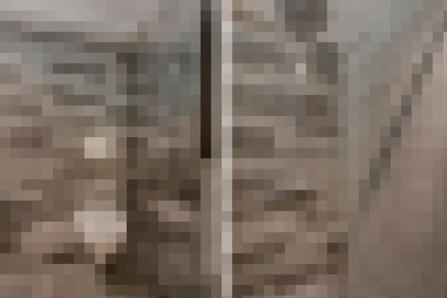 Lageweijdt 18 Schoorl thumbnail 26
