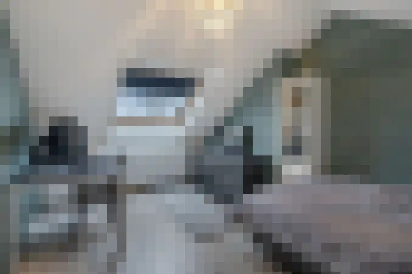 Lageweijdt 18 Schoorl thumbnail 30