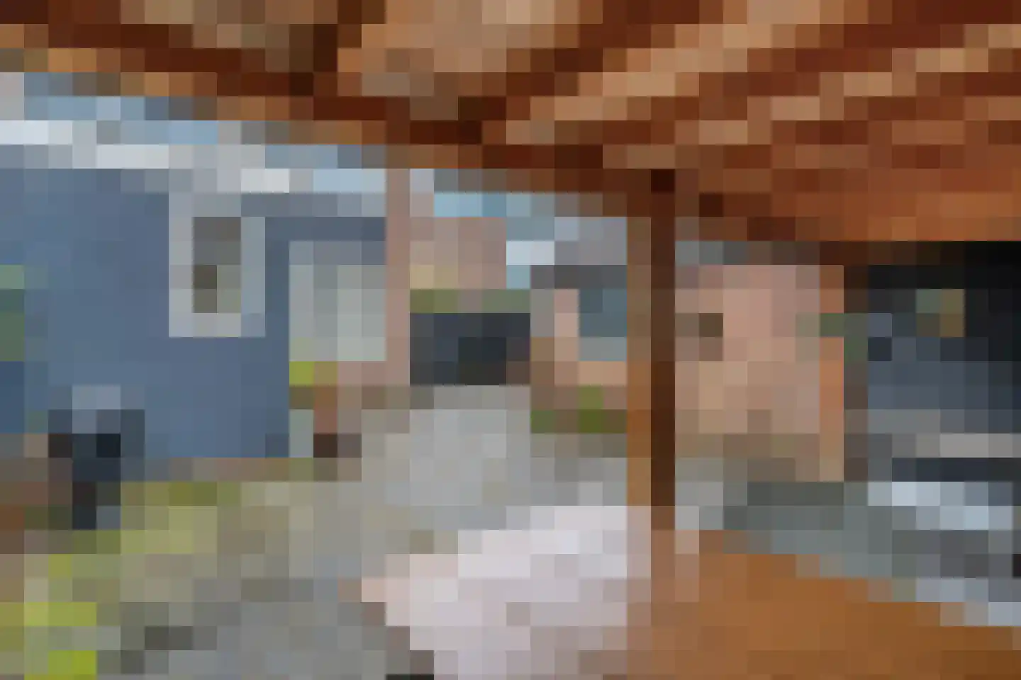 Lageweijdt 18 Schoorl thumbnail 41