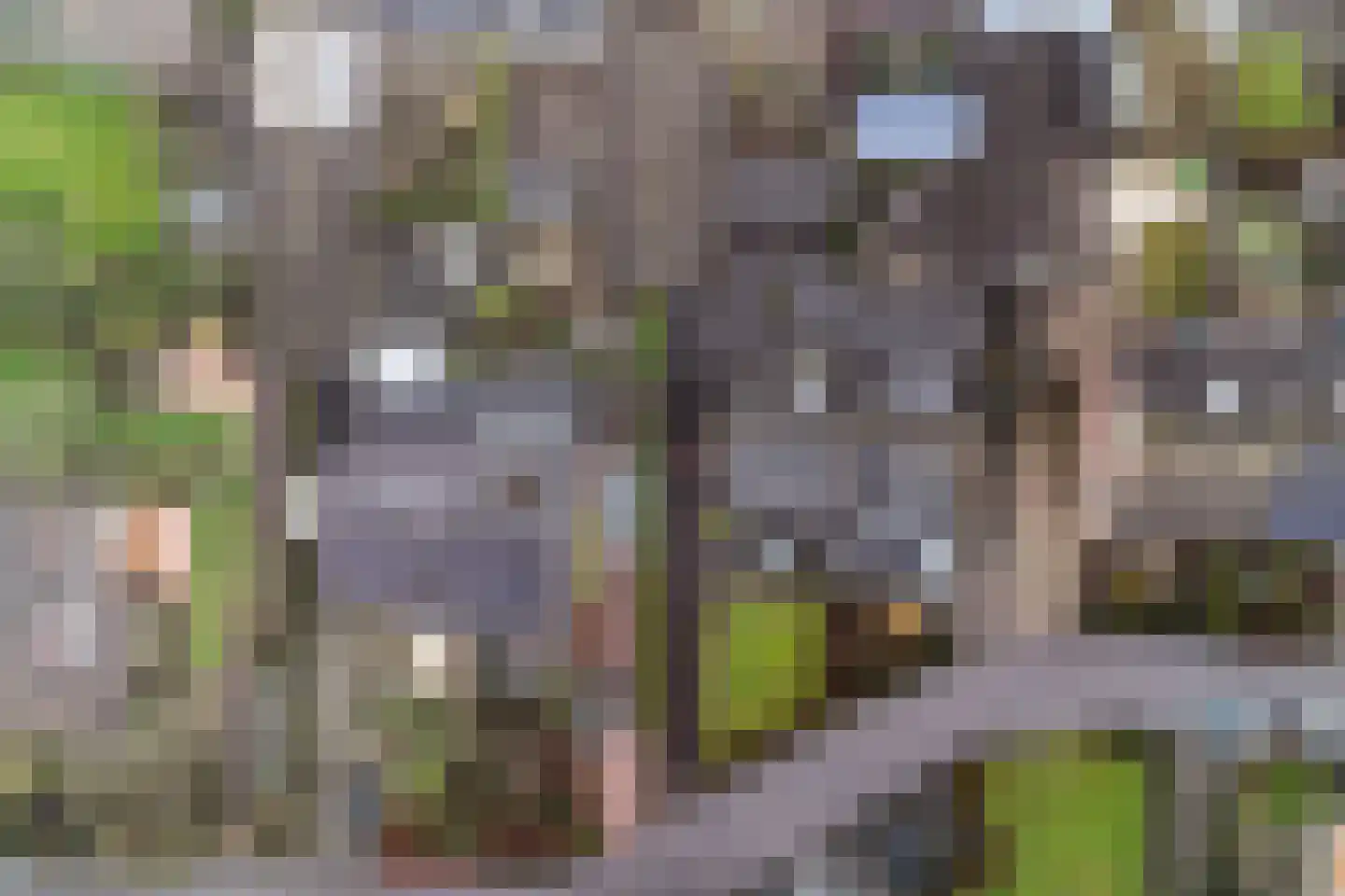 Lageweijdt 18 Schoorl thumbnail 48