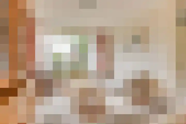 Lageweijdt 2 Schoorl thumbnail 11