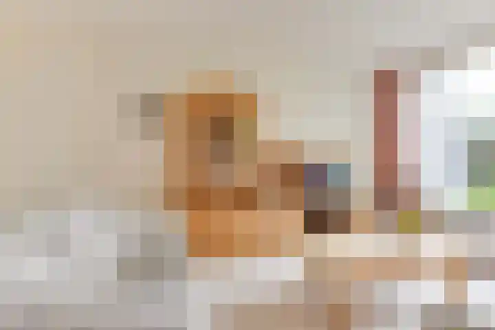 Lageweijdt 2 Schoorl thumbnail 12