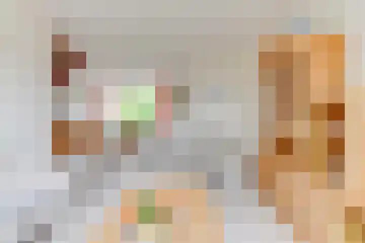 Lageweijdt 2 Schoorl thumbnail 13