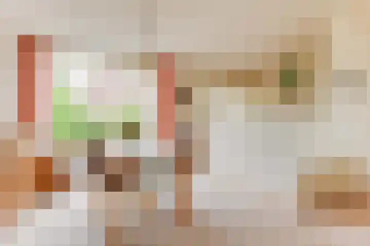 Lageweijdt 2 Schoorl thumbnail 15