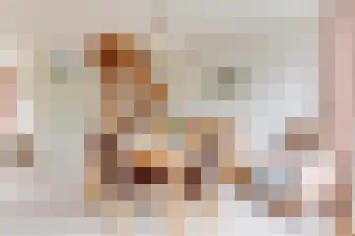 Lageweijdt 2 Schoorl thumbnail 16