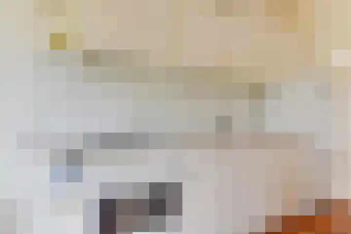 Lageweijdt 2 Schoorl thumbnail 17