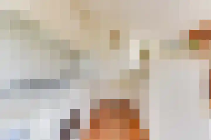 Lageweijdt 2 Schoorl thumbnail 18