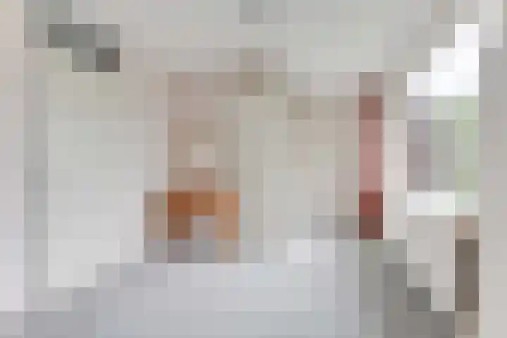 Lageweijdt 2 Schoorl thumbnail 20