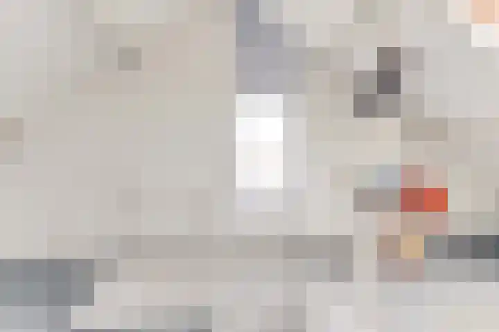 Lageweijdt 2 Schoorl thumbnail 32