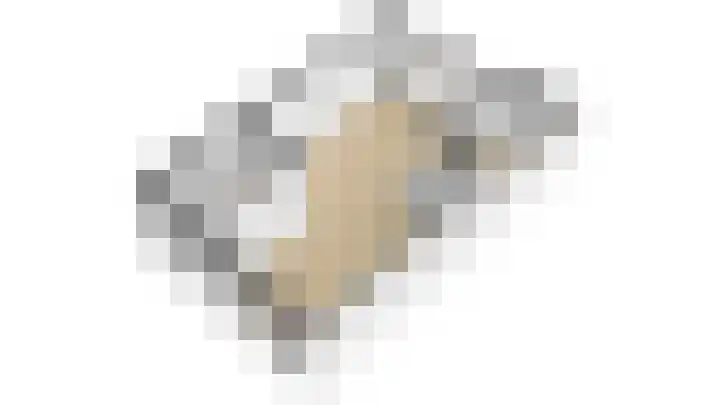 Lageweijdt 2 Schoorl thumbnail 37