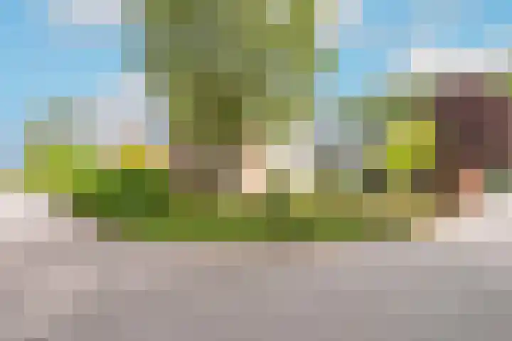 Lageweijdt 2 Schoorl thumbnail 4