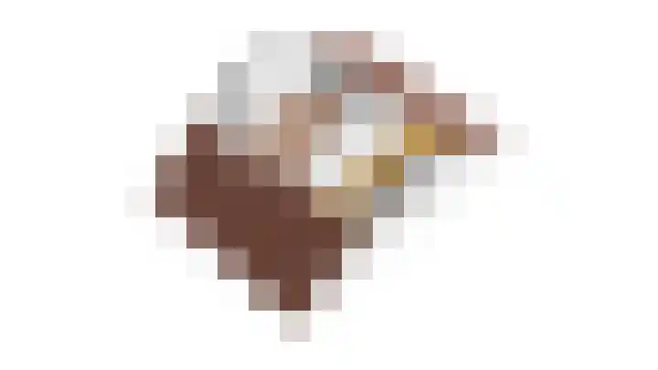 Lageweijdt 2 Schoorl thumbnail 43