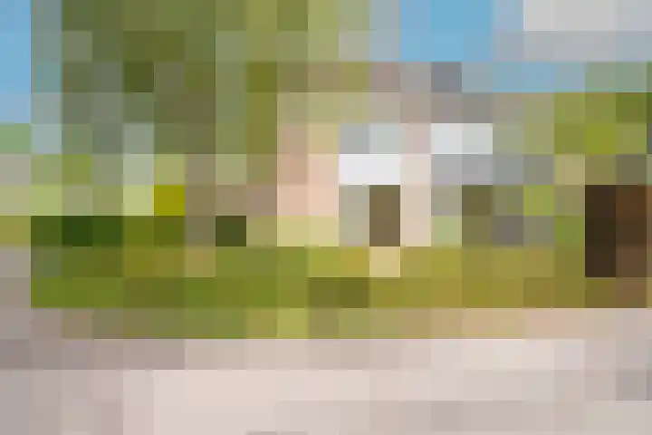 Lageweijdt 2 Schoorl thumbnail 48