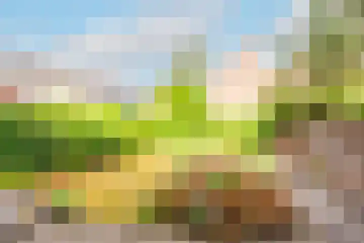 Lageweijdt 2 Schoorl thumbnail 6