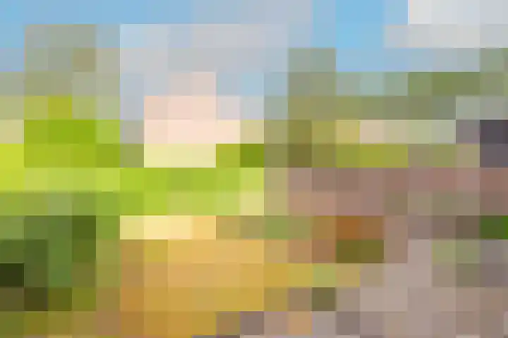 Lageweijdt 2 Schoorl thumbnail 7