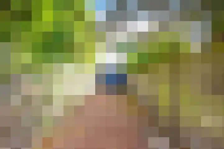 Lageweijdt 2 Schoorl thumbnail 8