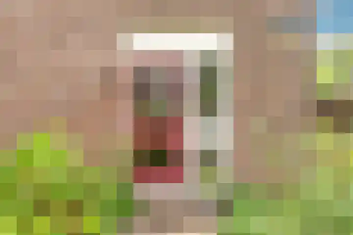 Lageweijdt 2 Schoorl thumbnail 9