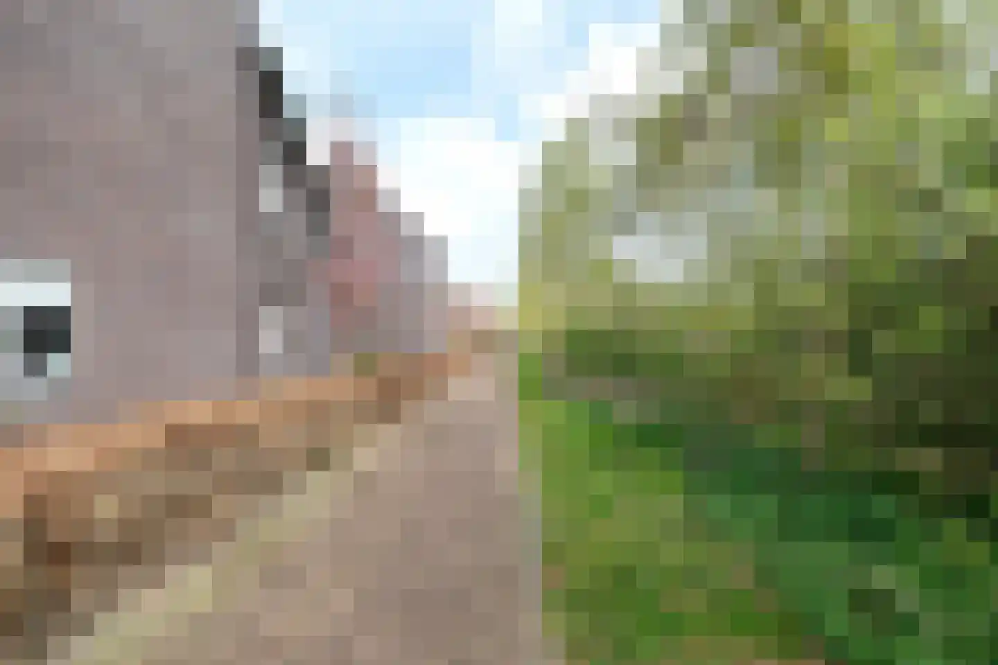 Lagewoud 25 Ede thumbnail 33