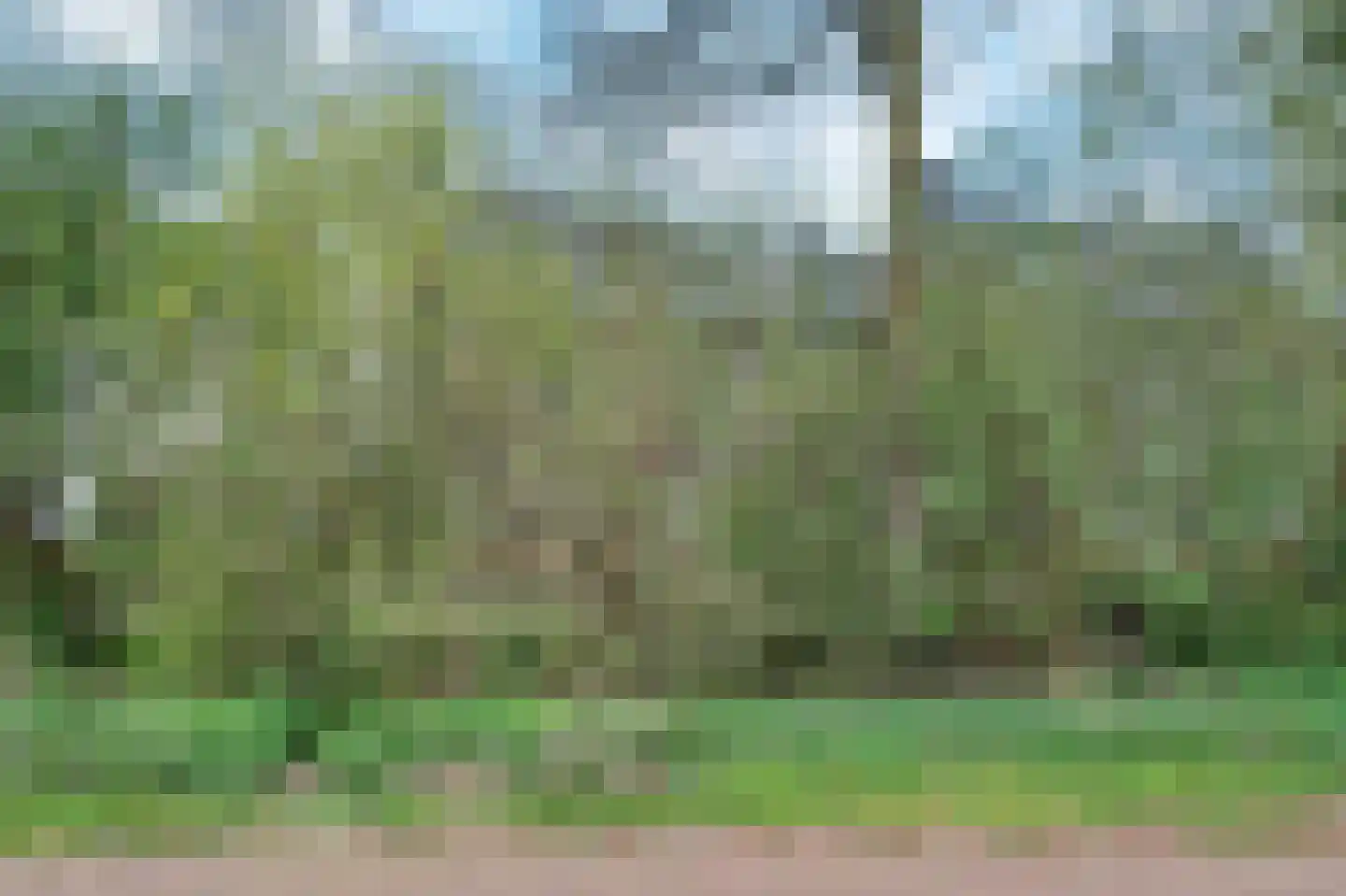 Lagewoud 25 Ede thumbnail 34