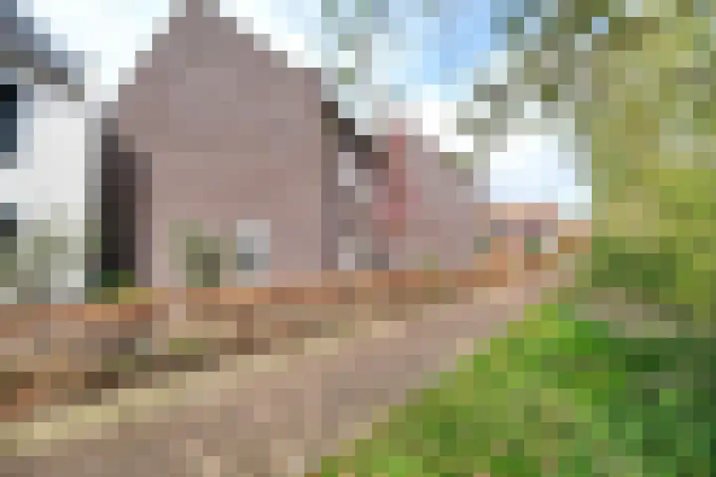 Lagewoud 25 Ede thumbnail 5