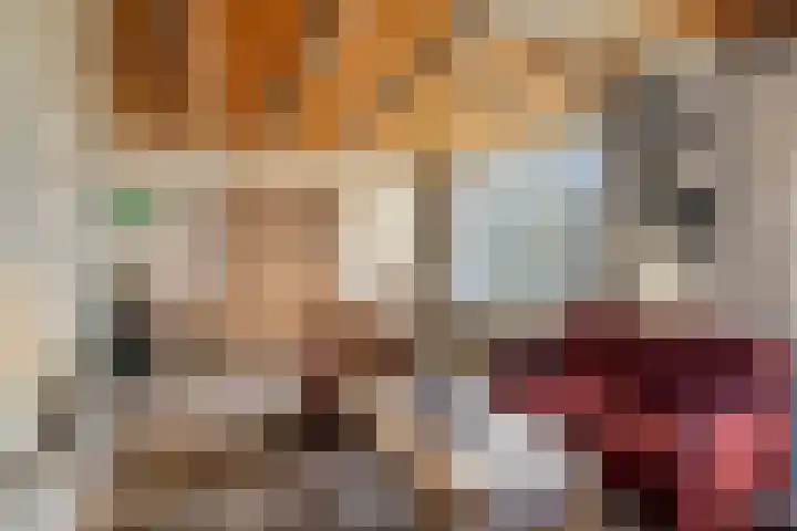 Laguitensebaan 30 Rijsbergen thumbnail 13