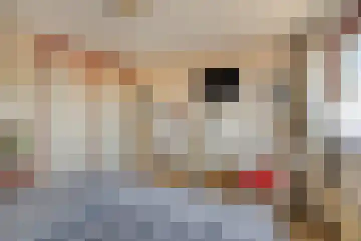 Laguitensebaan 30 Rijsbergen thumbnail 24