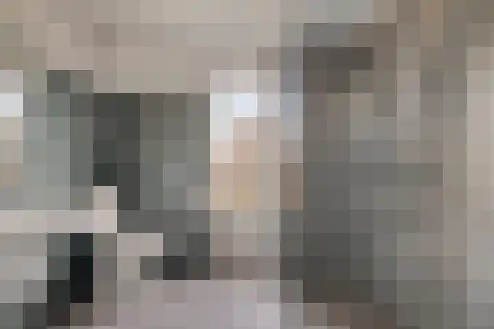 Laguitensebaan 30 Rijsbergen thumbnail 26