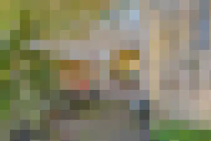 Laguitensebaan 30 Rijsbergen thumbnail 33