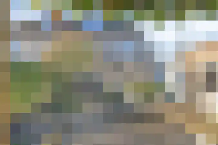 Laguitensebaan 30 Rijsbergen thumbnail 4