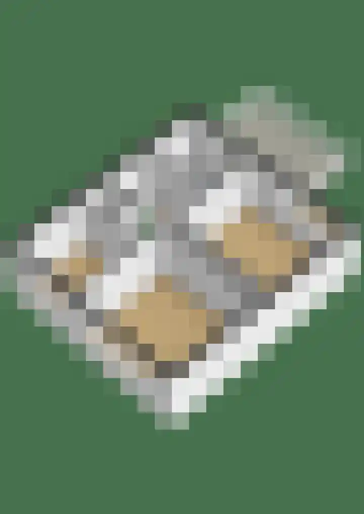 Laguitensebaan 30 Rijsbergen thumbnail 43