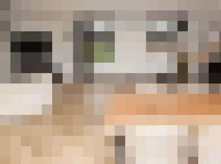 Laguitensebaan 52 Rijsbergen thumbnail 12
