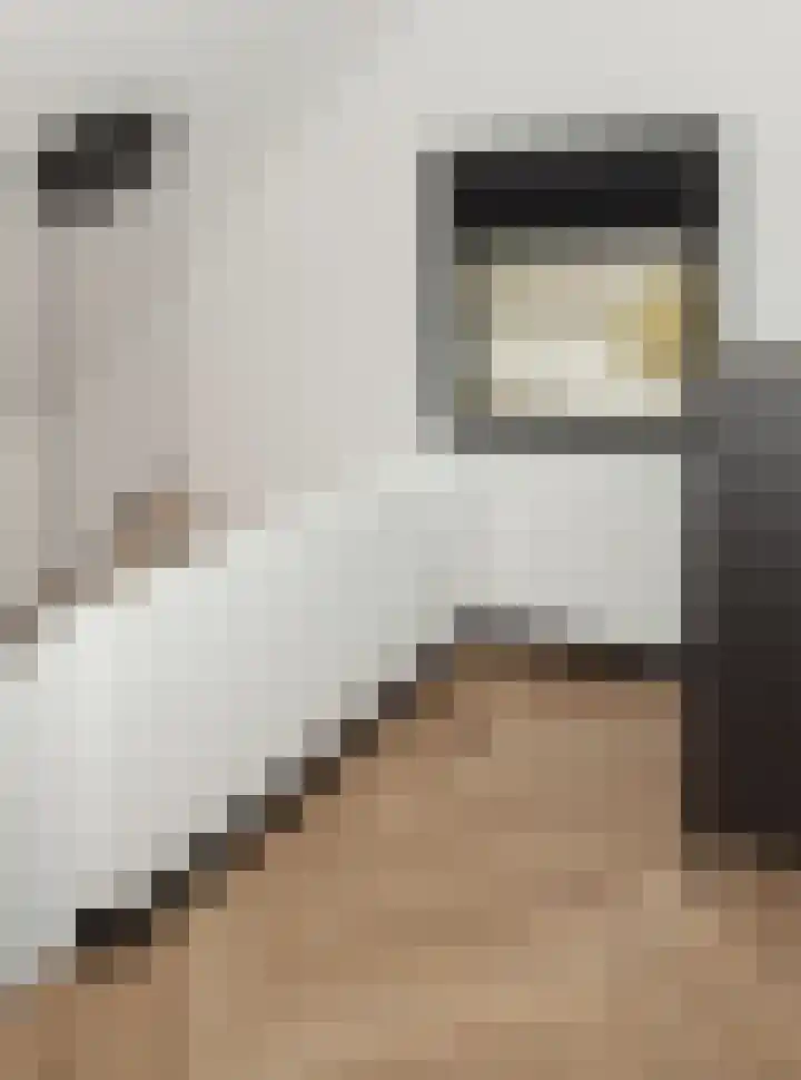 Laguitensebaan 52 Rijsbergen thumbnail 33