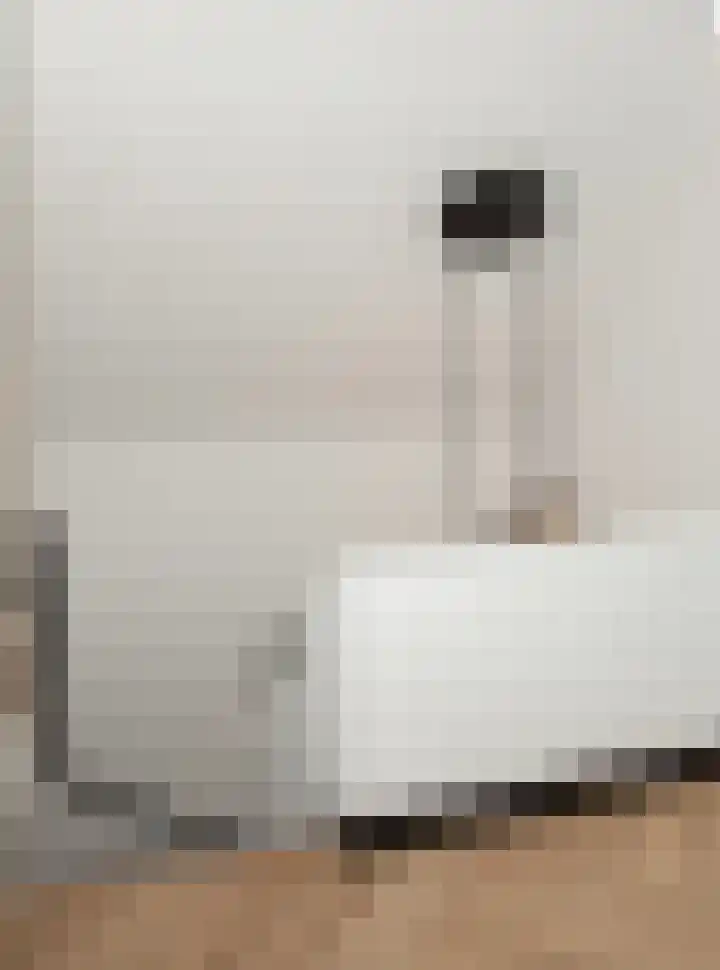 Laguitensebaan 52 Rijsbergen thumbnail 34
