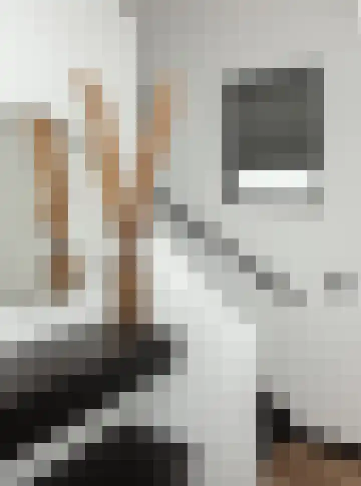 Laguitensebaan 52 Rijsbergen thumbnail 5