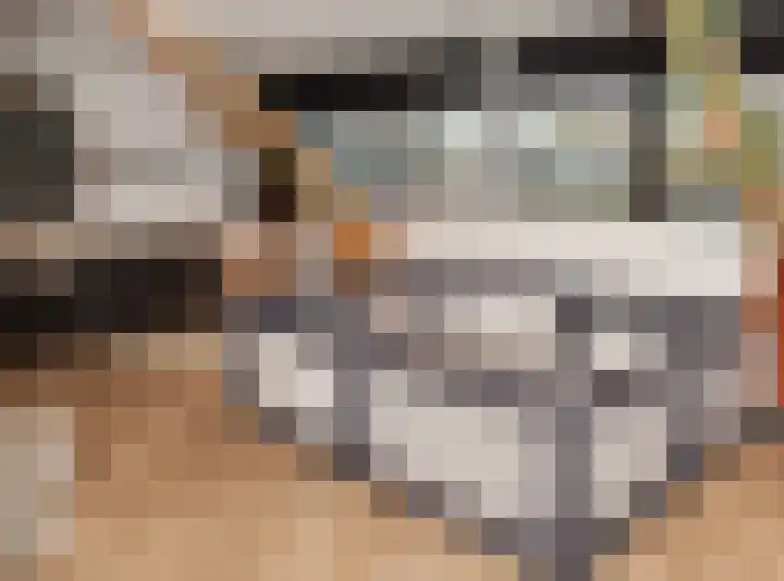 Laguitensebaan 52 Rijsbergen thumbnail 52