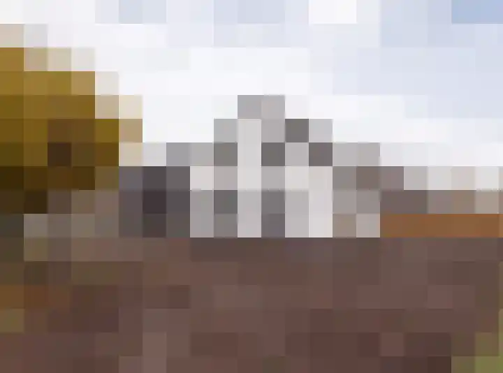 Laguitensebaan 52 Rijsbergen thumbnail 59