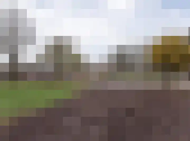 Laguitensebaan 52 Rijsbergen thumbnail 66