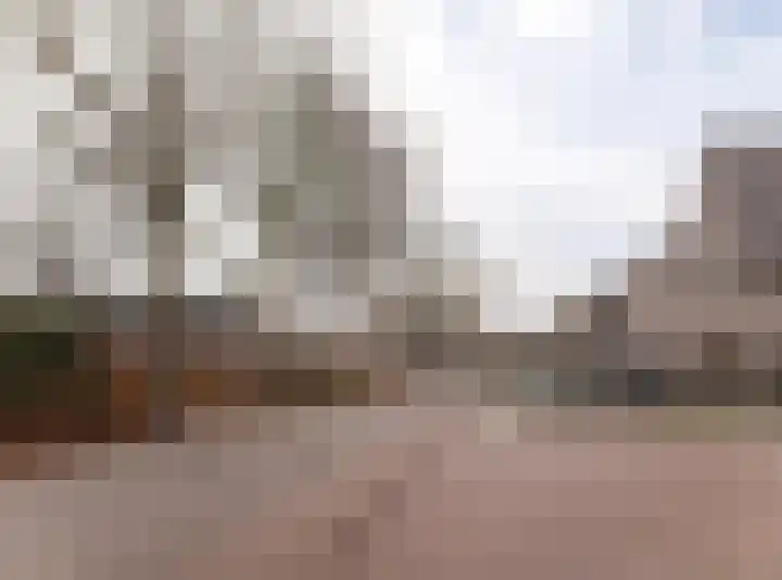 Laguitensebaan 52 Rijsbergen thumbnail 67